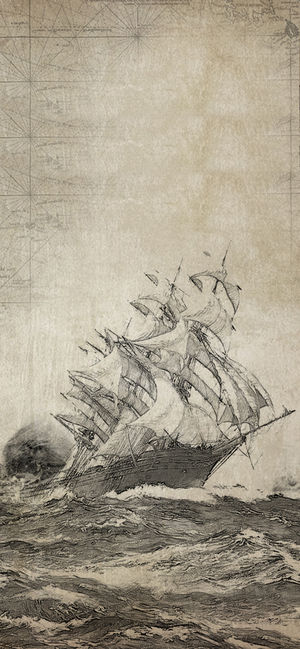 荒岛求生-首款荒野求生冒险游戏