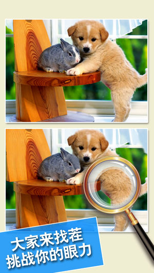 大家来找茬(豪华版) - 经典1000关找茬游戏