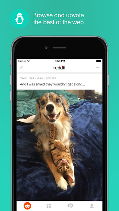 Reddit Official App: Trending News and Hot Topics