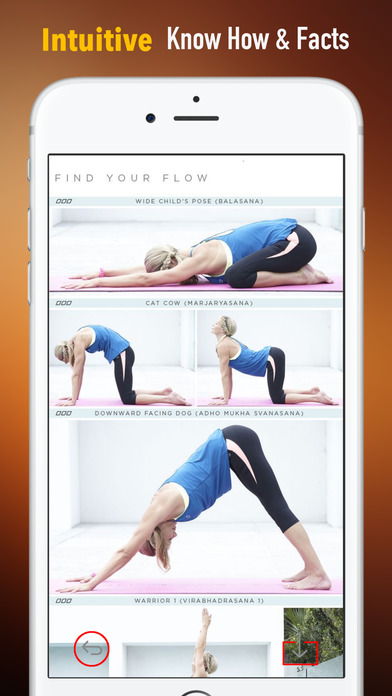 流瑜伽知识百科:快速自学参考指南与教程视频