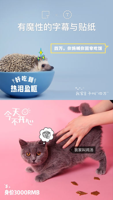 猫饼ö，短视频讲故事