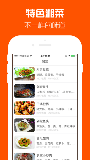 湘菜菜谱-家常菜做法宝典