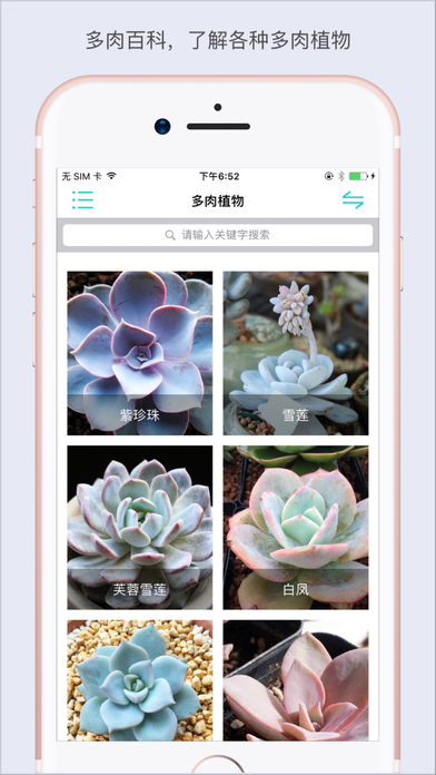 多肉百科 Pro－多肉之家盆栽养植方法