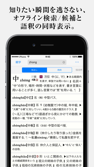 中日・日中辞典