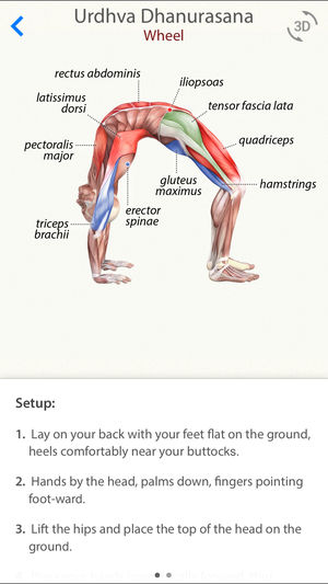 3D Yoga Anatomy Lite