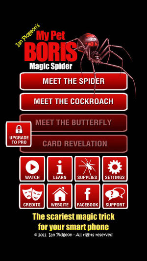 Magic Spider