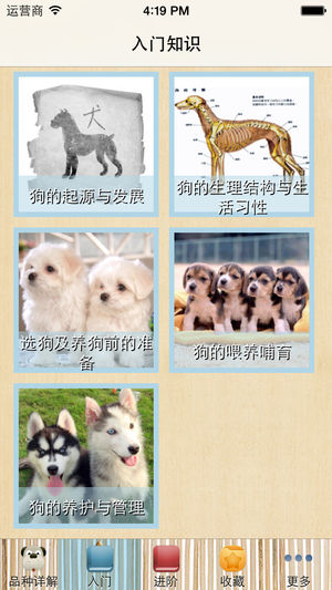 养狗知识大全（爱狗一族必备圣经）