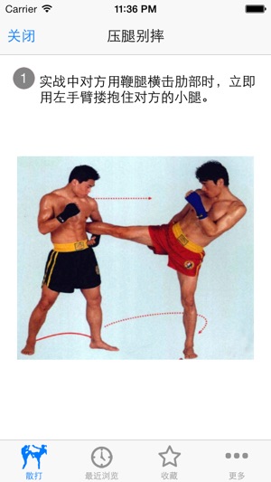 学散打 散手 (真人演示图解 视频)