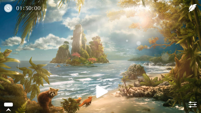 Sunny ~ Calm wave & ocean sounds to Sleep Relax Meditate on the beach with rain and sea birds