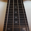 Bass Fretboard Addict FREE