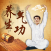 养生气功-易筋经,八段锦,五禽戏,六字诀,洗髓经,太极养生杖,武术名家视频讲解示范