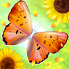 Flutter: Butterfly Sanctuary